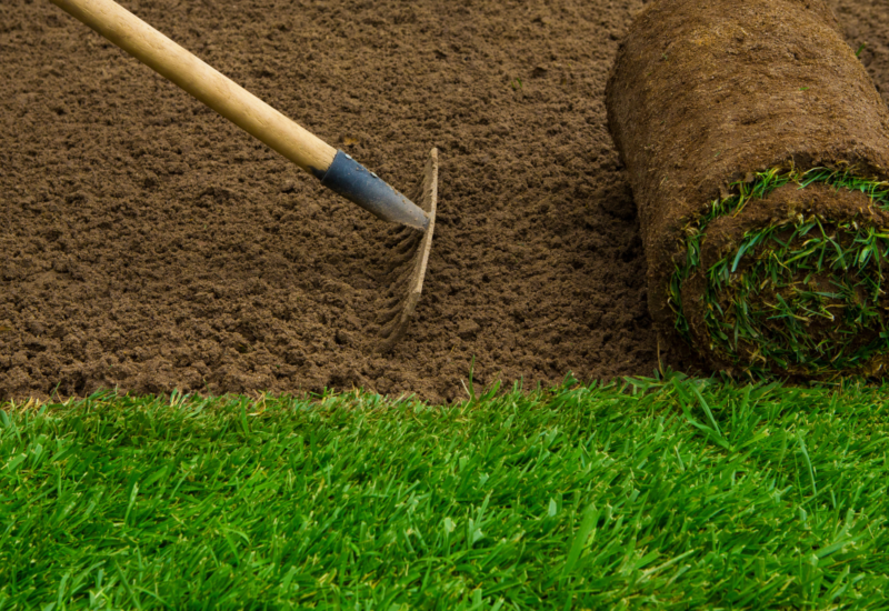 Untitled design-436 Untitled design-436