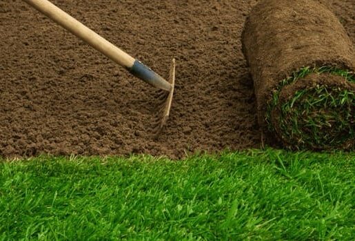 Untitled-design-436-scaled (1) (1) Średni Untitled-design-436-scaled (1) (1) Średni