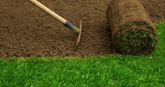 Untitled-design-436-scaled (1) (1) Średni Untitled-design-436-scaled (1) (1) Średni