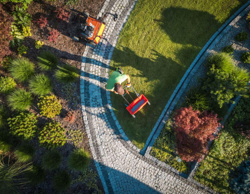 Fertilizing Residential Backyard Lawn Caucasian Gardener in His 40s Fertilizing Residential Backyard Lawn