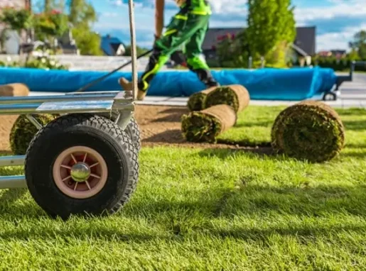 fresh-natural-grass-turfs-from-roll-installation-2026-01-08-22-51-30-utc-scaled-Sredni fresh-natural-grass-turfs-from-roll-installation-2026-01-08-22-51-30-utc-scaled-Sredni