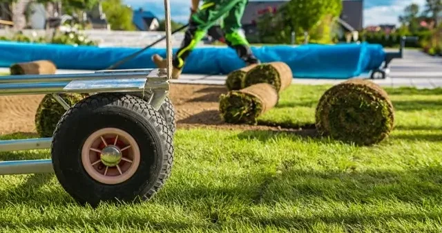 fresh-natural-grass-turfs-from-roll-installation-2026-01-08-22-51-30-utc-scaled-Sredni fresh-natural-grass-turfs-from-roll-installation-2026-01-08-22-51-30-utc-scaled-Sredni