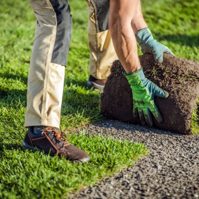 natural-grass-turfs-installation-by-garden-worker-2026-03-20-05-49-51-utc