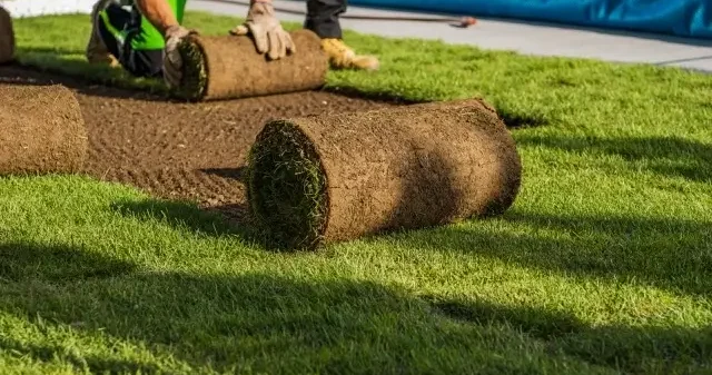 natural-grass-turfs-rolling-over-2026-03-20-02-15-16-utc-scaled-Sredni natural-grass-turfs-rolling-over-2026-03-20-02-15-16-utc-scaled-Sredni