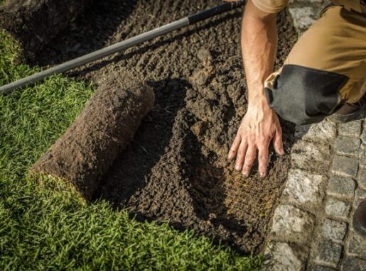 underground-garden-fencing-2026-01-09-08-26-00-utc-scaled Średni underground-garden-fencing-2026-01-09-08-26-00-utc-scaled Średni