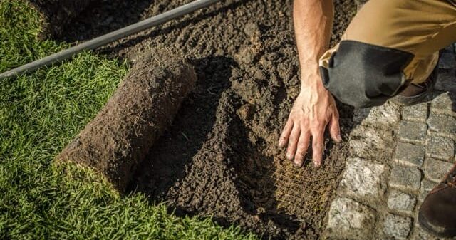 underground-garden-fencing-2026-01-09-08-26-00-utc-scaled Średni underground-garden-fencing-2026-01-09-08-26-00-utc-scaled Średni