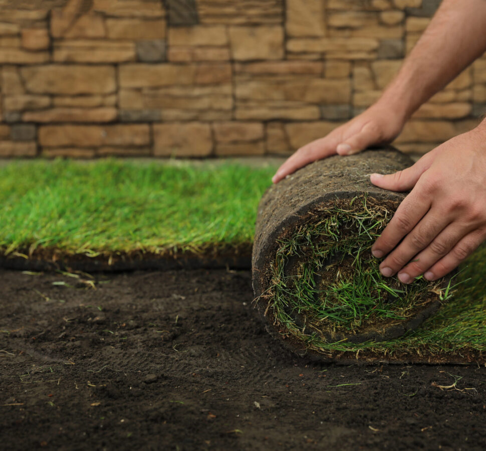 Young man laying grass sod on ground at backyard, closeup. Space for text