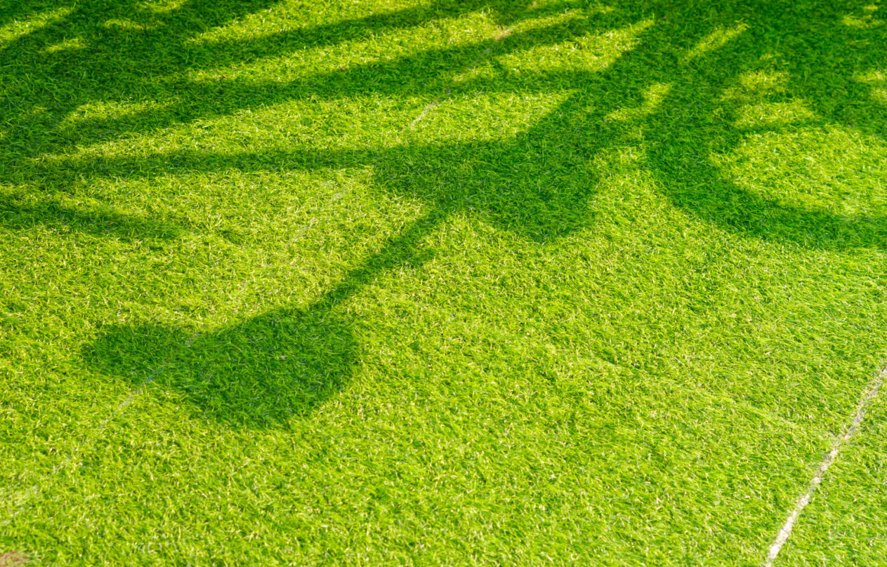 green-artificial-grass-turf-background-with-light-2026-01-09-00-19-02-utc green-artificial-grass-turf-background-with-light-2026-01-09-00-19-02-utc